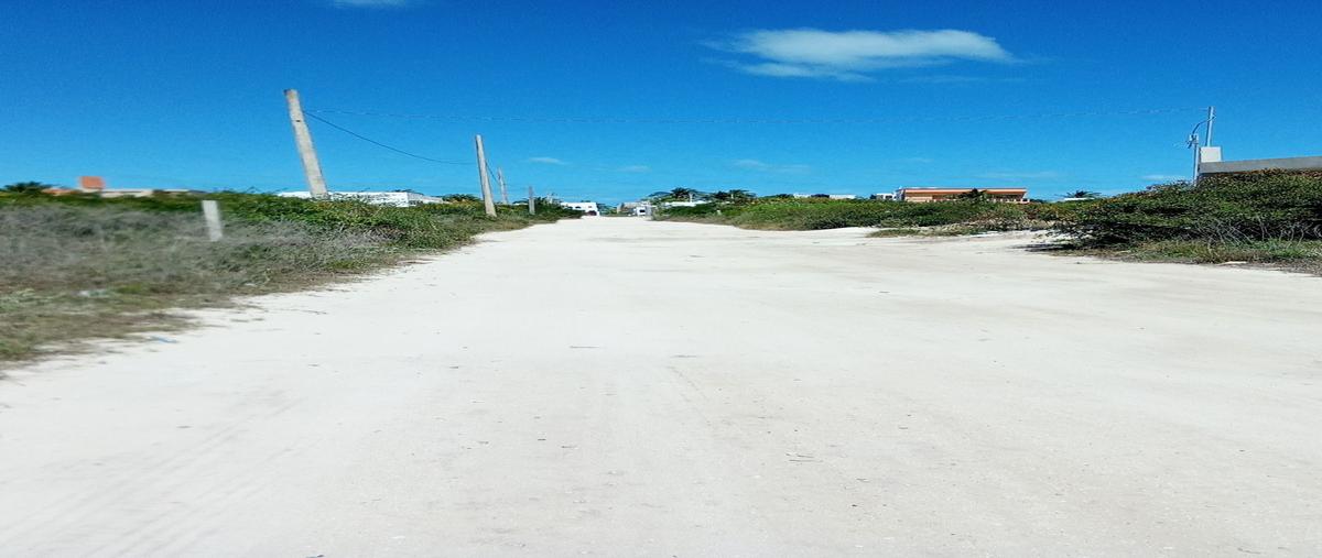 Foto de terreno habitacional en venta en  , chicxulub puerto, progreso, yucatán, 0 No. 05
