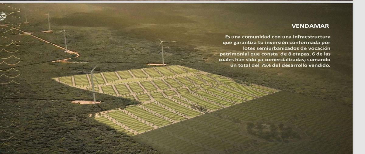 Foto de terreno habitacional en , chicxulub puerto, progreso, yucatán, 0 foto 02 Foto de terreno habitacional en venta en , chicxulub puerto, progreso, yucatán, 0 No. 02