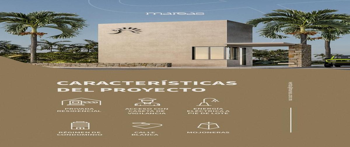 Foto de terreno habitacional en venta en  , chicxulub puerto, progreso, yucatán, 29883037 No. 05