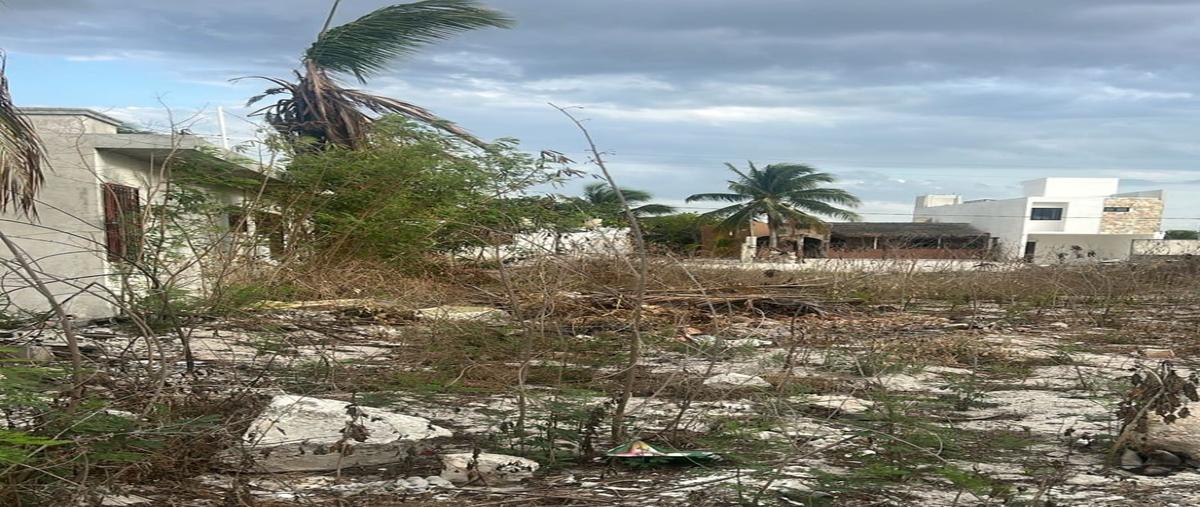 Foto de terreno habitacional en , chicxulub puerto, progreso, yucatán, 0 foto 01 Foto de terreno habitacional en venta en , chicxulub puerto, progreso, yucatán, 0 No. 01