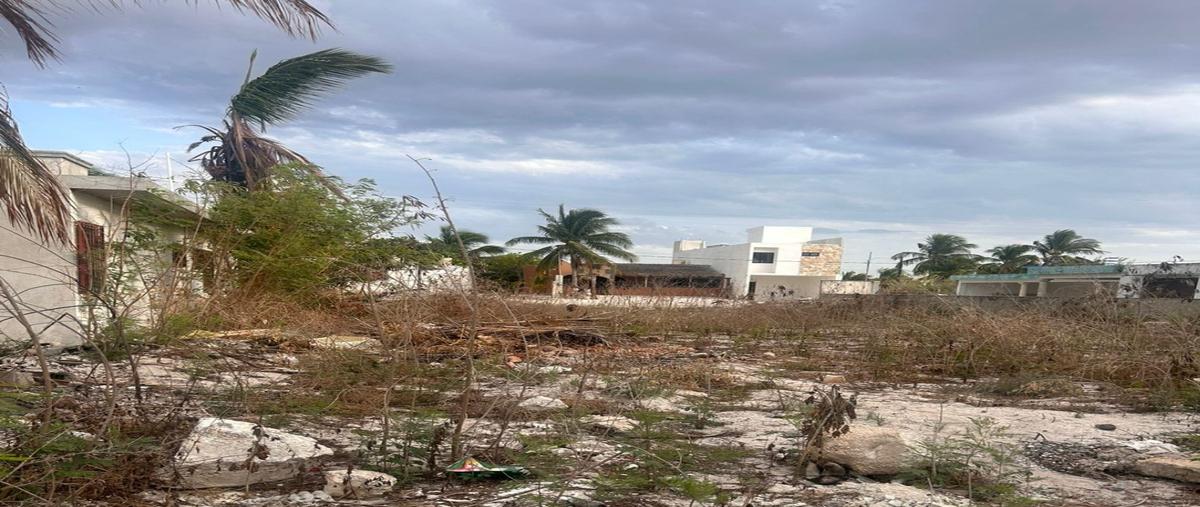 Foto de terreno habitacional en , chicxulub puerto, progreso, yucatán, 0 foto 02 Foto de terreno habitacional en venta en , chicxulub puerto, progreso, yucatán, 0 No. 02