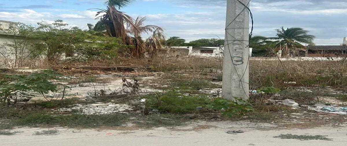 Foto de terreno habitacional en , chicxulub puerto, progreso, yucatán, 0 foto 03 Foto de terreno habitacional en venta en , chicxulub puerto, progreso, yucatán, 0 No. 03