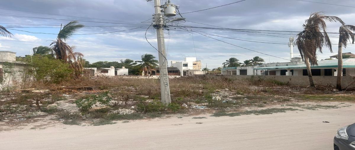 Foto de terreno habitacional en , chicxulub puerto, progreso, yucatán, 0 foto 04 Foto de terreno habitacional en venta en , chicxulub puerto, progreso, yucatán, 0 No. 04