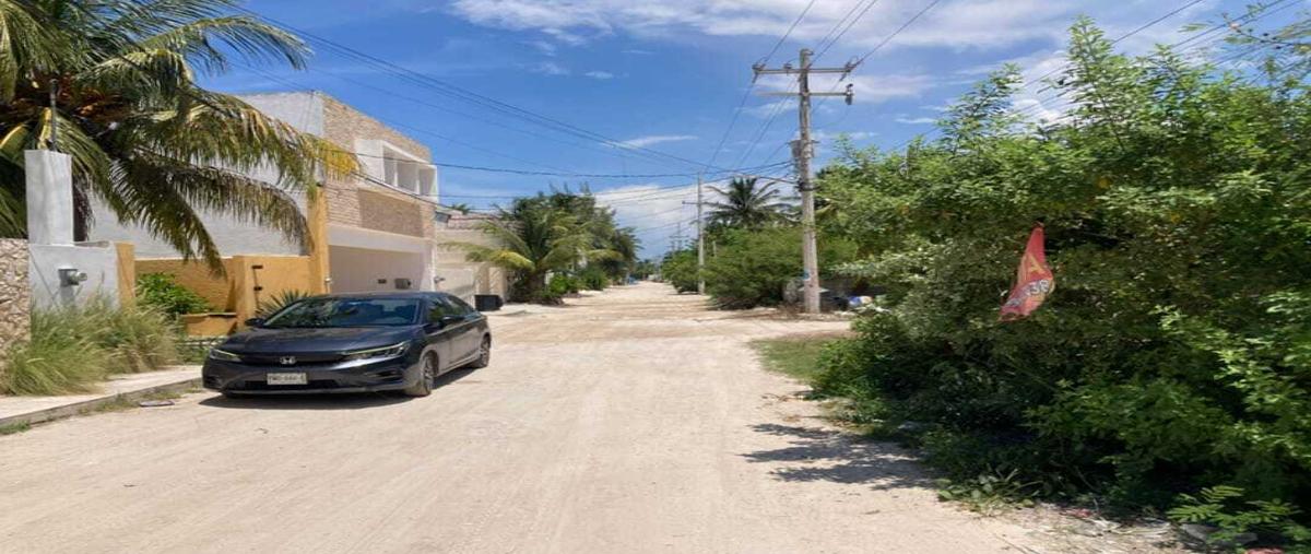 Foto de terreno habitacional en , chicxulub puerto, progreso, yucatán, 0 foto 05 Foto de terreno habitacional en venta en , chicxulub puerto, progreso, yucatán, 0 No. 05