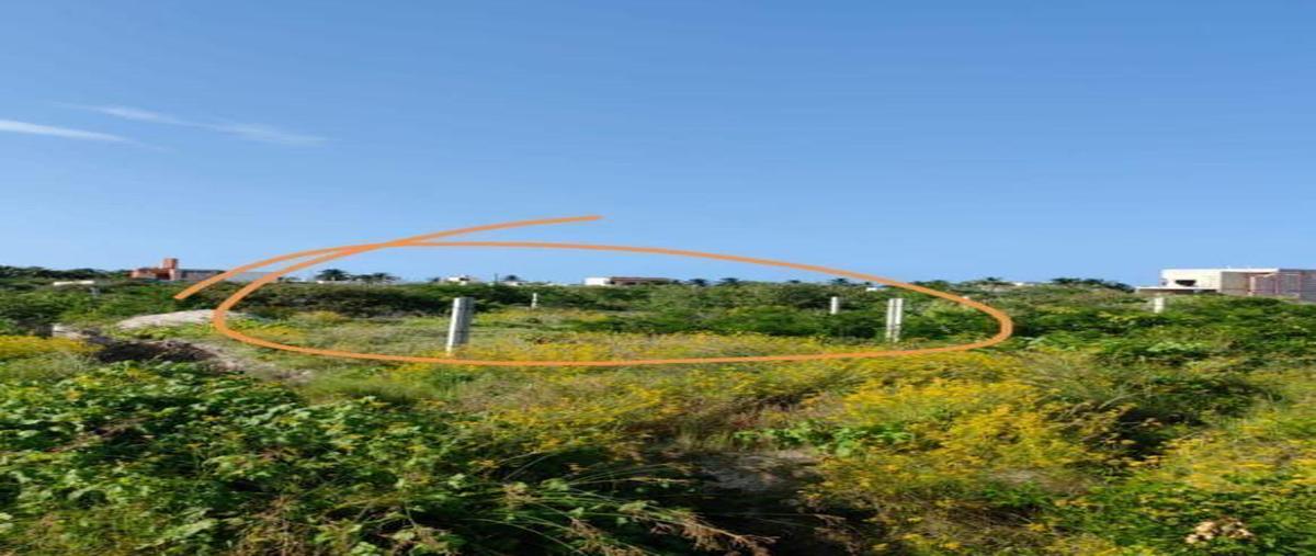 Foto de terreno habitacional en venta en  , chicxulub puerto, progreso, yucatán, 0 No. 03