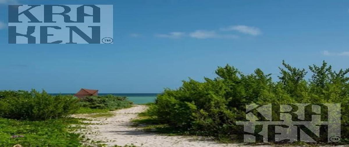 Foto de casa en venta en  , chicxulub puerto, progreso, yucatán, 30076481 No. 04