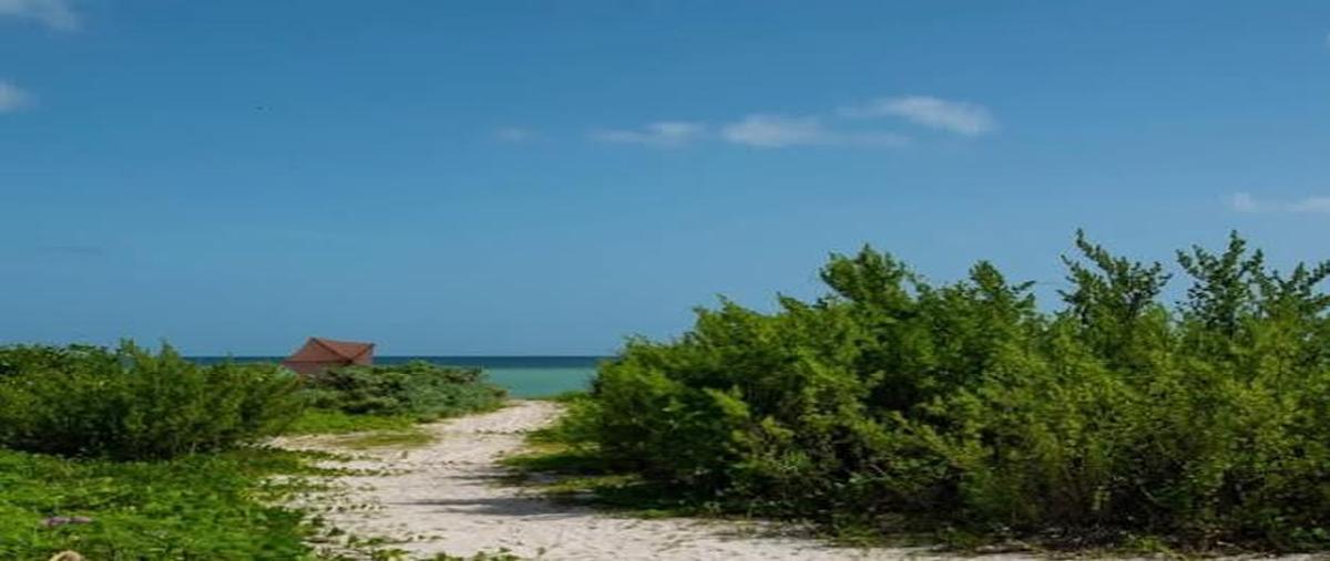 Foto de casa en venta en  , chicxulub puerto, progreso, yucatán, 0 No. 04