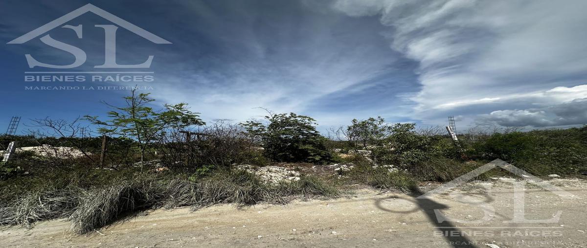 Foto de terreno habitacional en , chicxulub puerto, progreso, yucatán, 30124028 foto 02 Foto de terreno habitacional en venta en , chicxulub puerto, progreso, yucatán, 30124028 No. 02