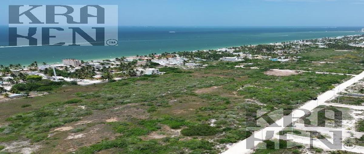 Foto de terreno habitacional en , chicxulub puerto, progreso, yucatán, 30192131 foto 04 Foto de terreno habitacional en venta en , chicxulub puerto, progreso, yucatán, 30192131 No. 04
