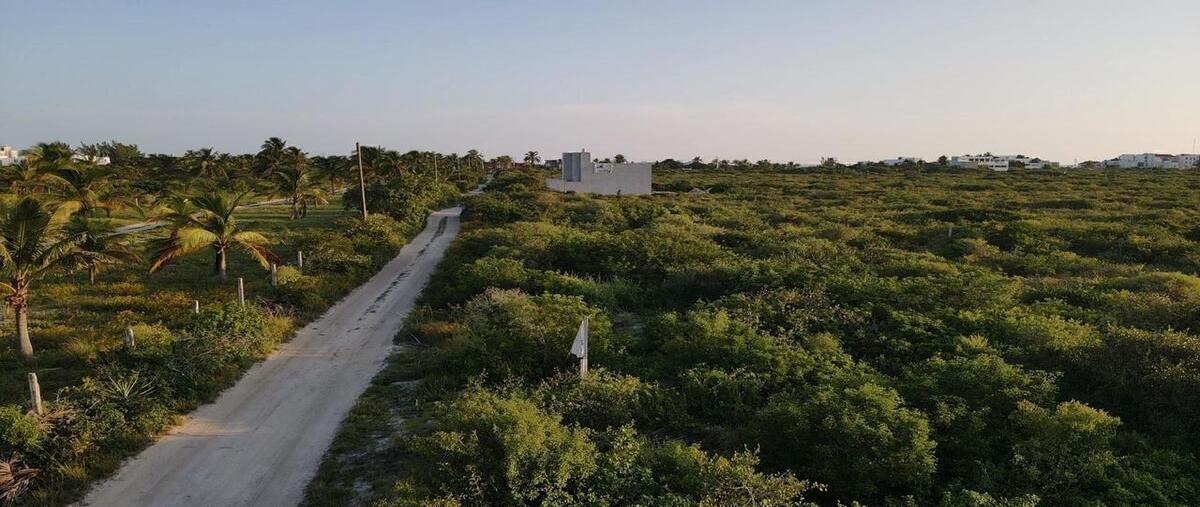 Foto de terreno habitacional en , chicxulub puerto, progreso, yucatán, 0 foto 03 Foto de terreno habitacional en venta en , chicxulub puerto, progreso, yucatán, 0 No. 03