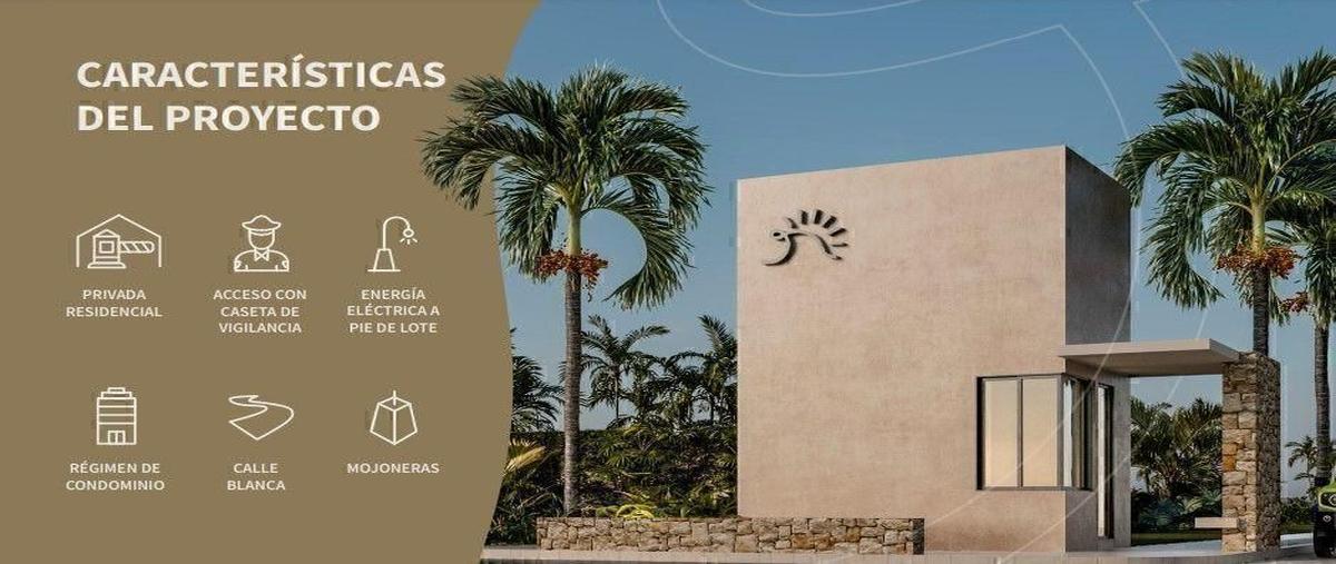 Foto de terreno habitacional en venta en  , chicxulub puerto, progreso, yucatán, 30358958 No. 03