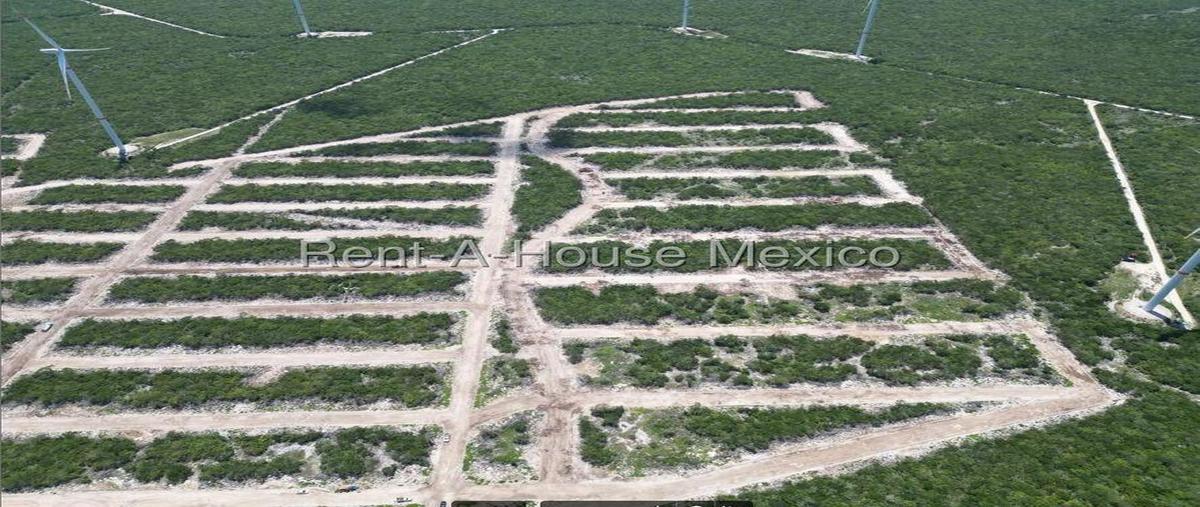 Foto de terreno habitacional en venta en  , chicxulub puerto, progreso, yucatán, 0 No. 03
