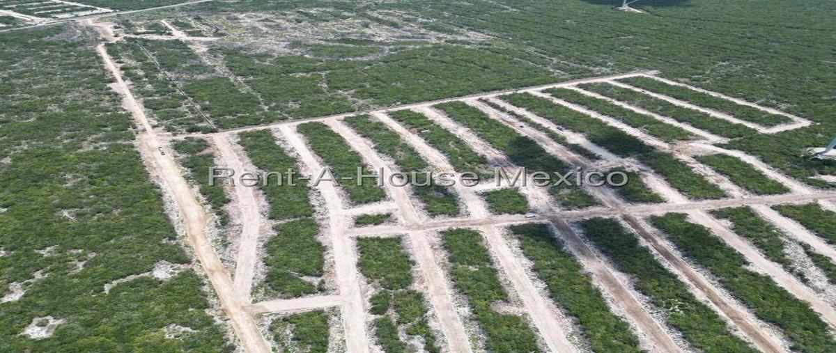 Foto de terreno habitacional en venta en  , chicxulub puerto, progreso, yucatán, 0 No. 05