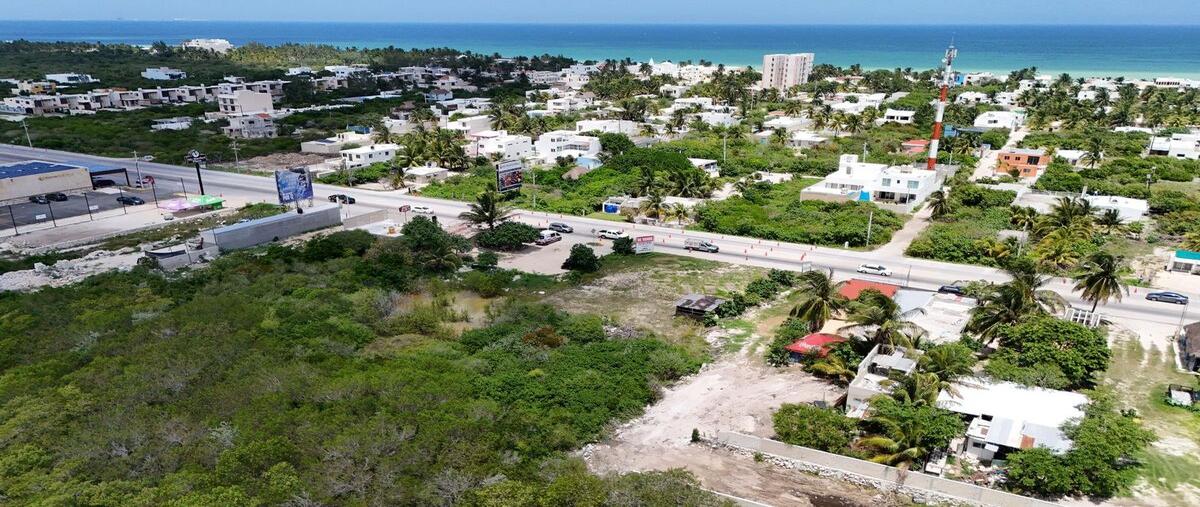 Foto de terreno habitacional en venta en  , chicxulub puerto, progreso, yucatán, 0 No. 05