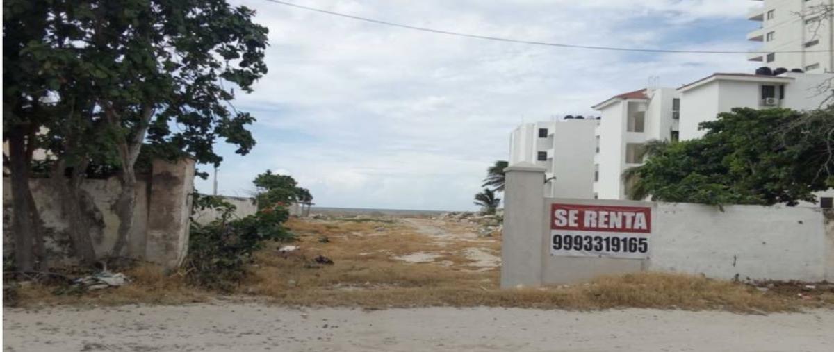 Foto de terreno habitacional en venta en  , chicxulub puerto, progreso, yucatán, 0 No. 04