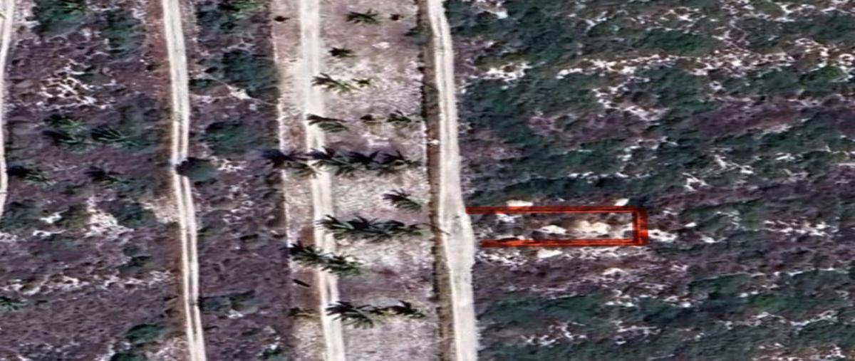 Foto de terreno habitacional en venta en  , chicxulub puerto, progreso, yucatán, 0 No. 03