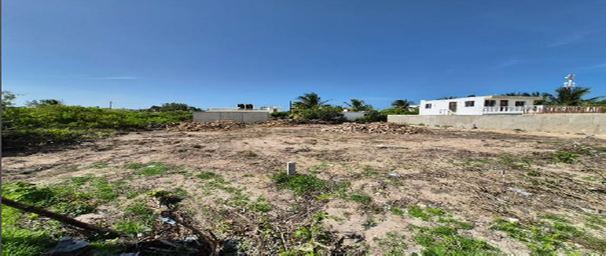 Foto de terreno habitacional en , chicxulub puerto, progreso, yucatán, 0 foto 01 Foto de terreno habitacional en renta en , chicxulub puerto, progreso, yucatán, 0 No. 01