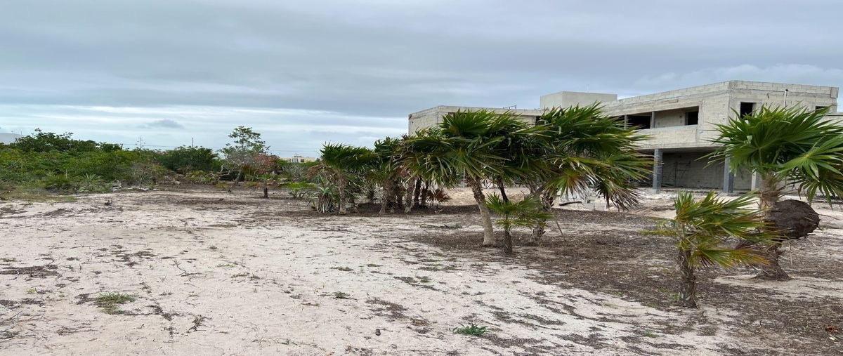 Foto de terreno habitacional en , chicxulub puerto, progreso, yucatán, 0 foto 02 Foto de terreno habitacional en venta en , chicxulub puerto, progreso, yucatán, 0 No. 02