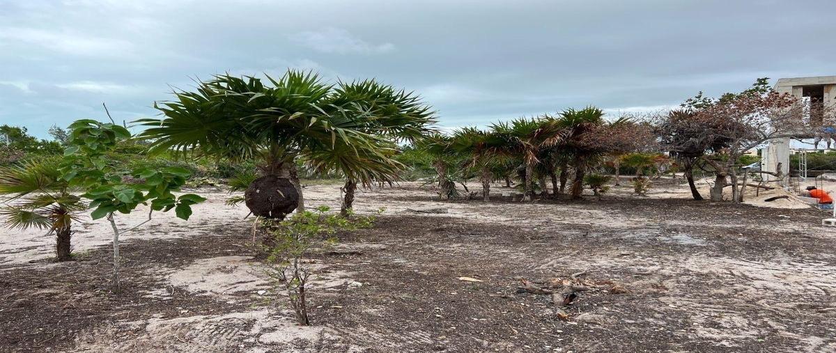 Foto de terreno habitacional en , chicxulub puerto, progreso, yucatán, 0 foto 03 Foto de terreno habitacional en venta en , chicxulub puerto, progreso, yucatán, 0 No. 03