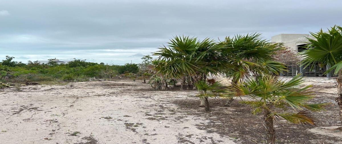 Foto de terreno habitacional en , chicxulub puerto, progreso, yucatán, 0 foto 04 Foto de terreno habitacional en venta en , chicxulub puerto, progreso, yucatán, 0 No. 04