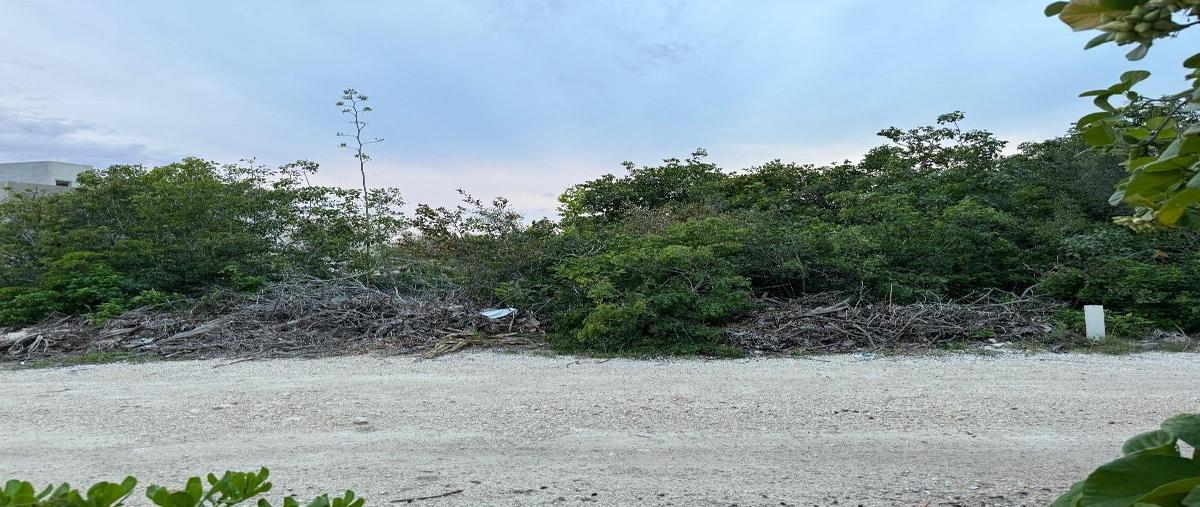 Foto de terreno habitacional en venta en  , chicxulub puerto, progreso, yucatán, 0 No. 03