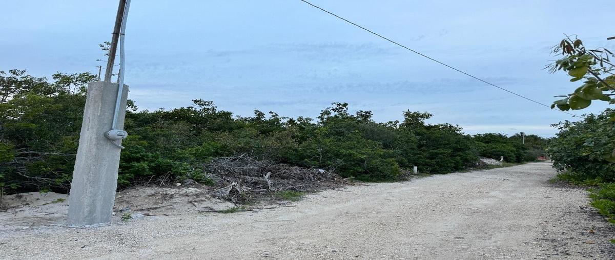 Foto de terreno habitacional en venta en  , chicxulub puerto, progreso, yucatán, 0 No. 04