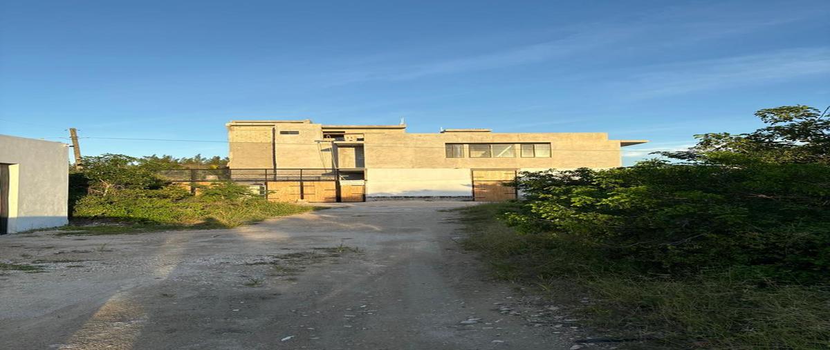 Foto de casa en venta en  , chicxulub puerto, progreso, yucatán, 0 No. 03