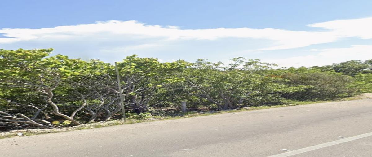 Foto de terreno comercial en venta en  , chicxulub puerto, progreso, yucatán, 0 No. 04