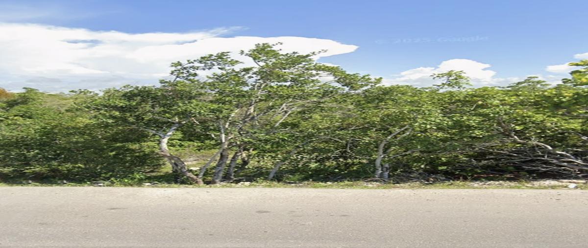 Foto de terreno comercial en venta en  , chicxulub puerto, progreso, yucatán, 0 No. 05