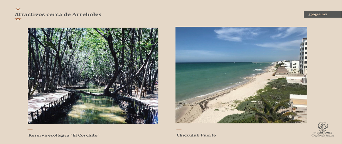 Foto de terreno habitacional en venta en  , chicxulub puerto, progreso, yucatán, 0 No. 06