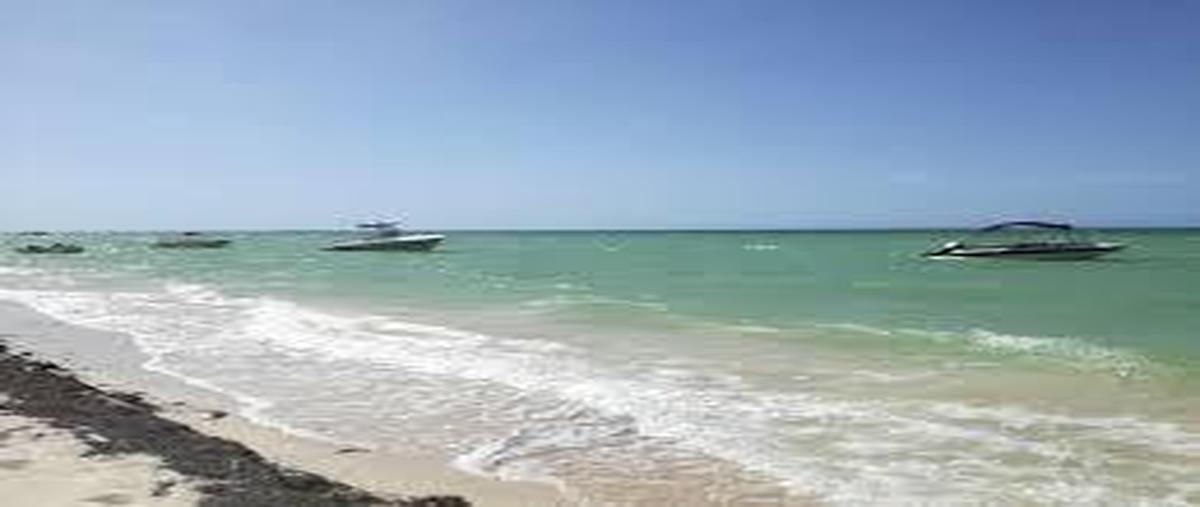 Foto de terreno habitacional en venta en  , chicxulub puerto, progreso, yucatán, 30657946 No. 03