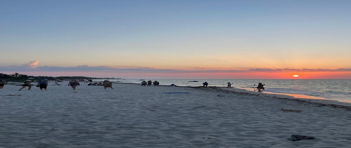 Foto de casa en venta en  , chicxulub puerto, progreso, yucatán, 30866281 No. 05