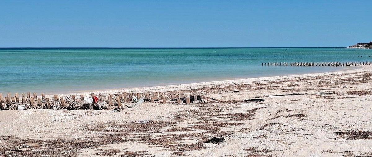 Foto de terreno habitacional en venta en  , chicxulub puerto, progreso, yucatán, 0 No. 05