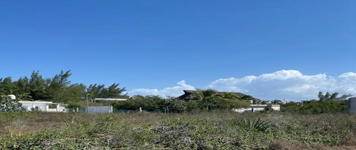 Foto de terreno habitacional en , chicxulub puerto, progreso, yucatán, 0 foto 05 Foto de terreno habitacional en venta en , chicxulub puerto, progreso, yucatán, 0 No. 05