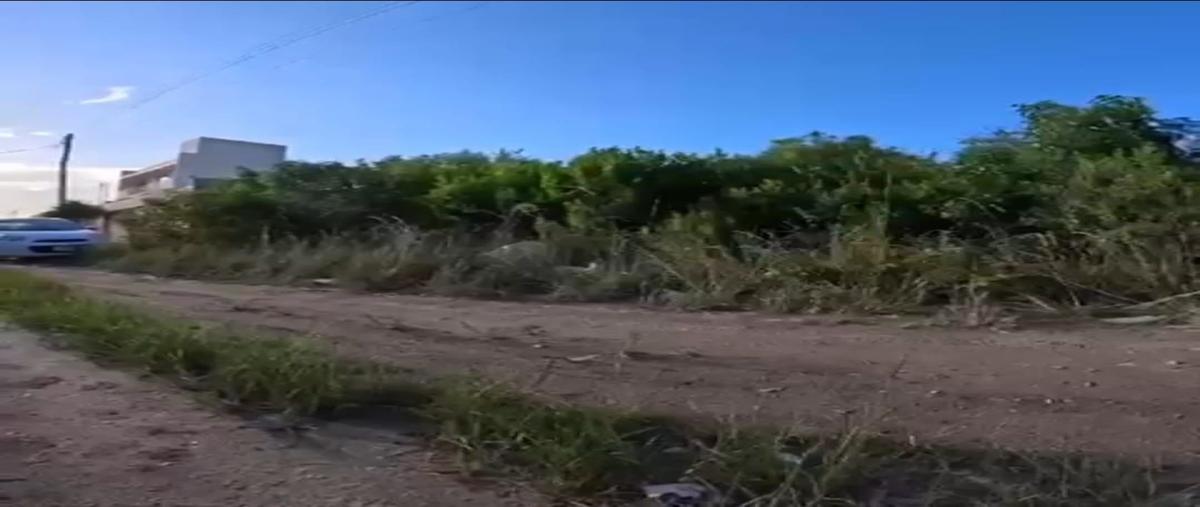 Foto de terreno habitacional en venta en  , chicxulub puerto, progreso, yucatán, 0 No. 04