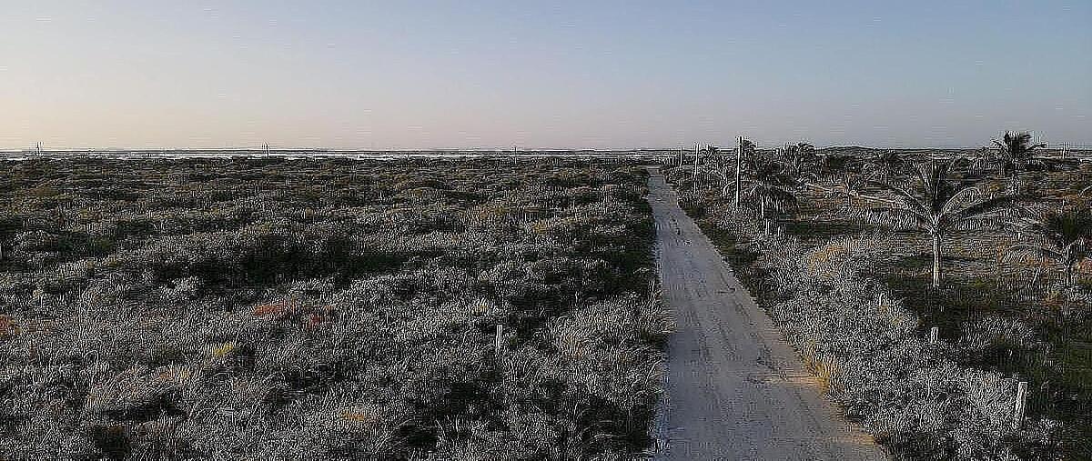 Foto de terreno habitacional en venta en  , chicxulub puerto, progreso, yucatán, 0 No. 03