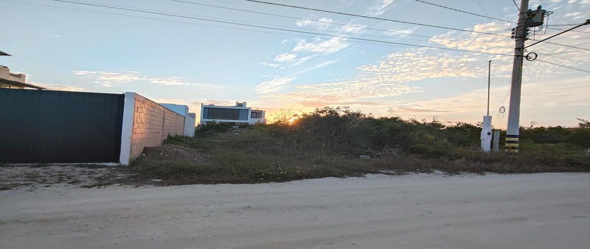 Foto de terreno habitacional en , chicxulub puerto, progreso, yucatán, 0 foto 02 Foto de terreno habitacional en venta en , chicxulub puerto, progreso, yucatán, 0 No. 02