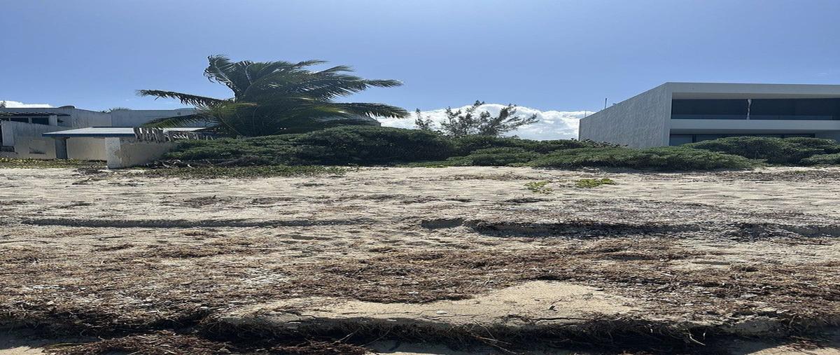 Foto de terreno habitacional en venta en  , chicxulub puerto, progreso, yucatán, 0 No. 03