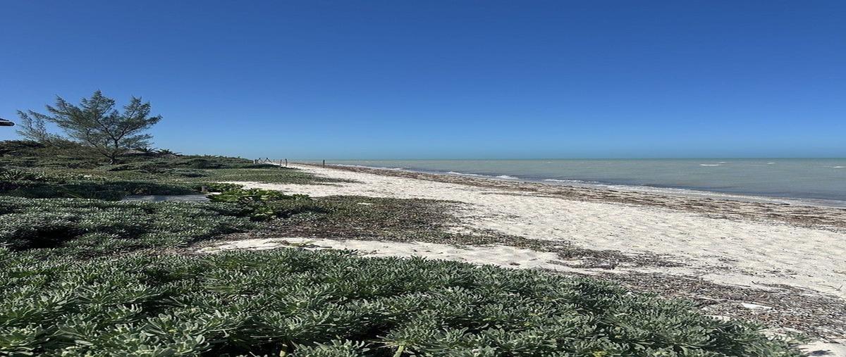 Foto de terreno habitacional en venta en  , chicxulub puerto, progreso, yucatán, 0 No. 05