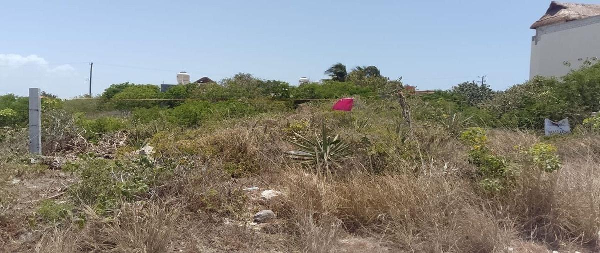 Foto de terreno habitacional en venta en -- , chicxulub puerto, progreso, yucatán, 0 No. 03