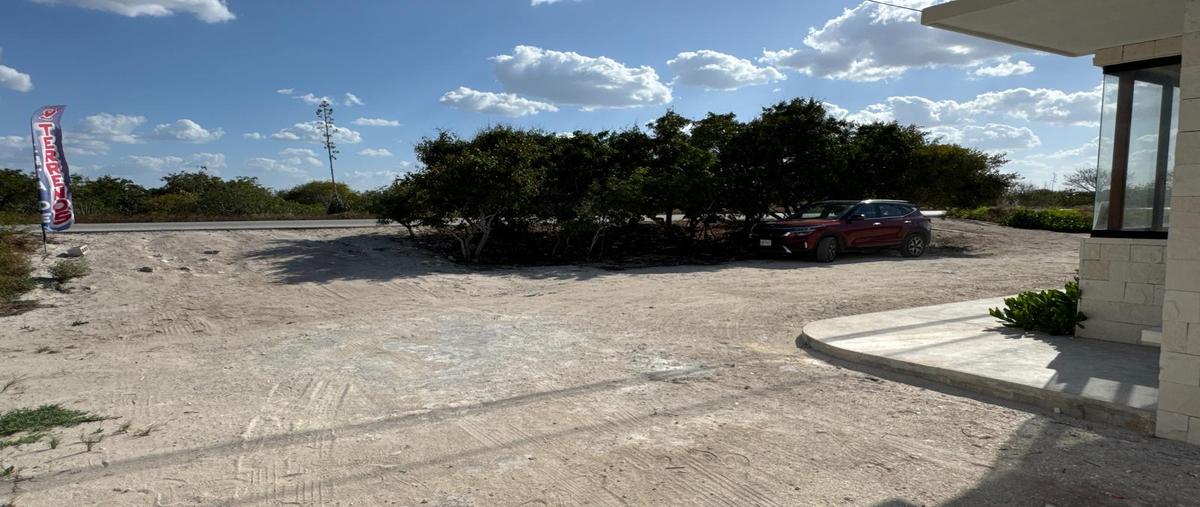 Foto de terreno habitacional en , chicxulub puerto, progreso, yucatán, 0 foto 03 Foto de terreno habitacional en venta en , chicxulub puerto, progreso, yucatán, 0 No. 03