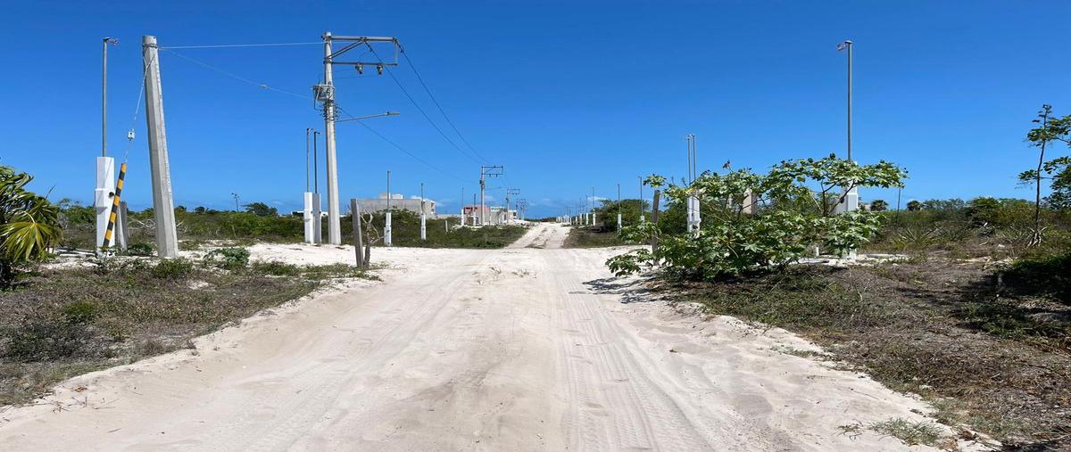 Foto de terreno habitacional en , chicxulub puerto, progreso, yucatán, 31426499 foto 01 Foto de terreno habitacional en venta en , chicxulub puerto, progreso, yucatán, 31426499 No. 01