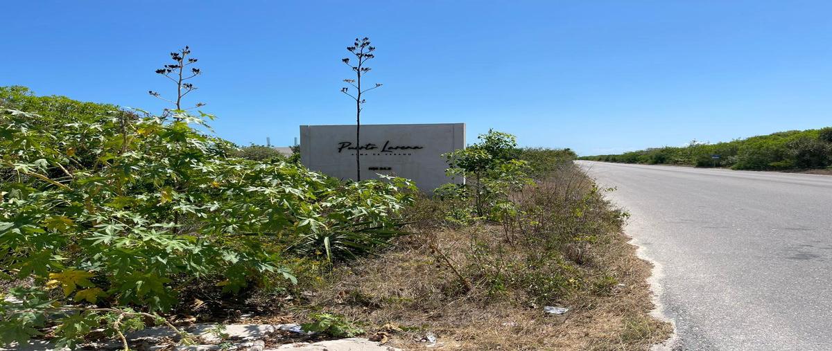 Foto de terreno habitacional en , chicxulub puerto, progreso, yucatán, 31426499 foto 04 Foto de terreno habitacional en venta en , chicxulub puerto, progreso, yucatán, 31426499 No. 04