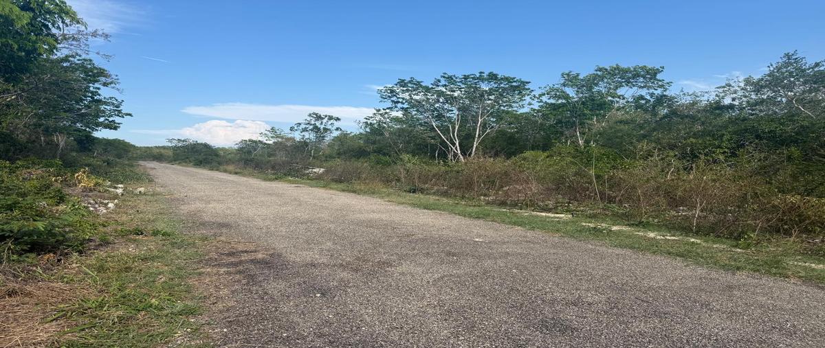 Foto de terreno habitacional en venta en  , chicxulub puerto, progreso, yucatán, 0 No. 03