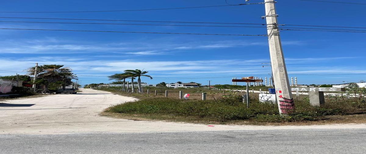 Foto de terreno habitacional en venta en  , chicxulub puerto, progreso, yucatán, 0 No. 04