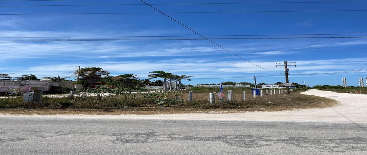 Foto de terreno habitacional en venta en  , chicxulub puerto, progreso, yucatán, 0 No. 05