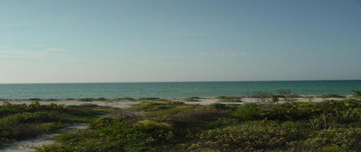 Foto de terreno habitacional en venta en  , chicxulub puerto, progreso, yucatán, 6986844 No. 03