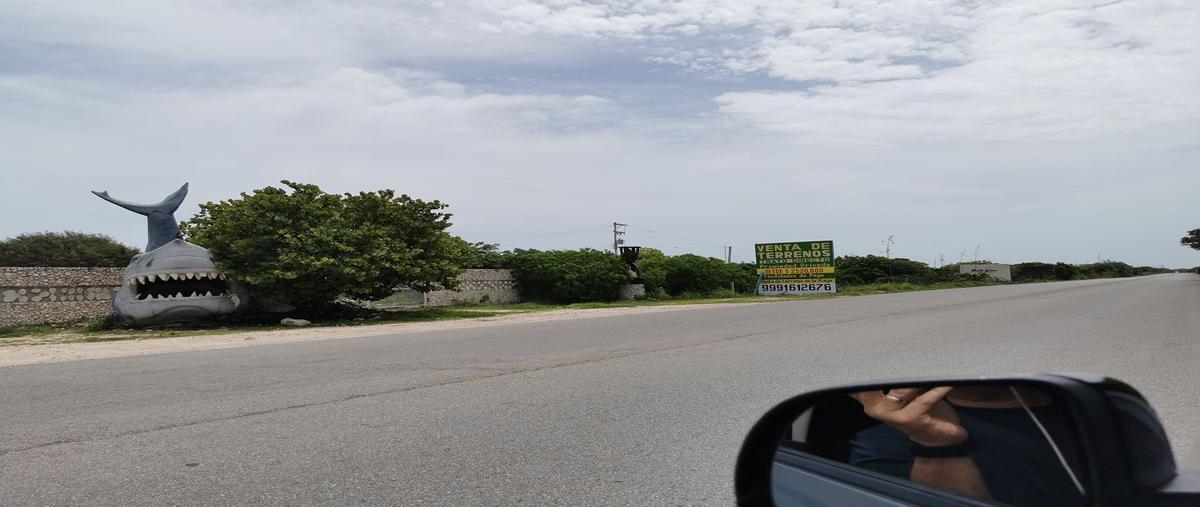 Foto de terreno habitacional en chicxulub puerto, progreso, yucatán , chicxulub puerto, progreso, yucatán, 0 foto 05 Foto de terreno habitacional en venta en chicxulub puerto, progreso, yucatán , chicxulub puerto, progreso, yucatán, 0 No. 05