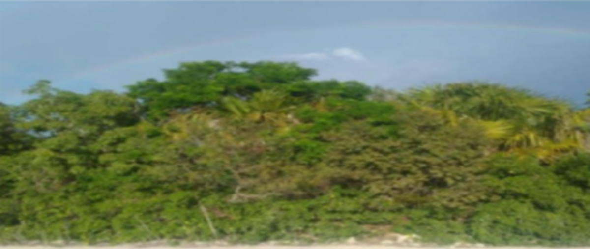 Foto de terreno habitacional en venta en chicxulub puerto, progreso, yucatán , chicxulub puerto, progreso, yucatán, 0 No. 05