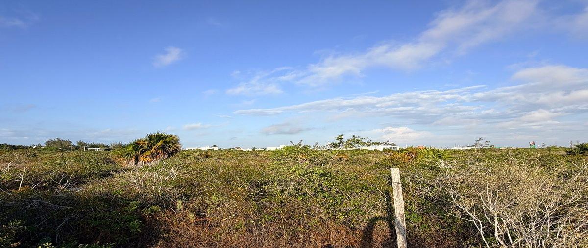 Foto de terreno habitacional en venta en chicxulub puerto - telchac puerto , chicxulub puerto, progreso, yucatán, 0 No. 03